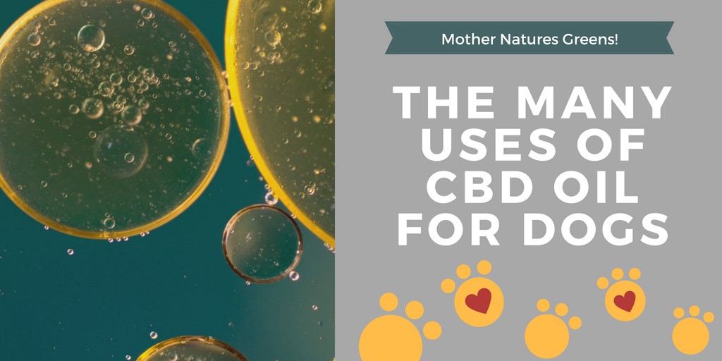 CBD Oil Joint Pain Relief Fairview Wooded Acres Apex 
      NC